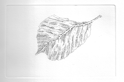Automne